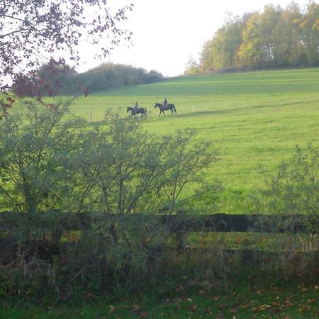Natur Pur Mit Fernblick Fuer Wanderfreunde Bad Sachsa Eksteriør billede