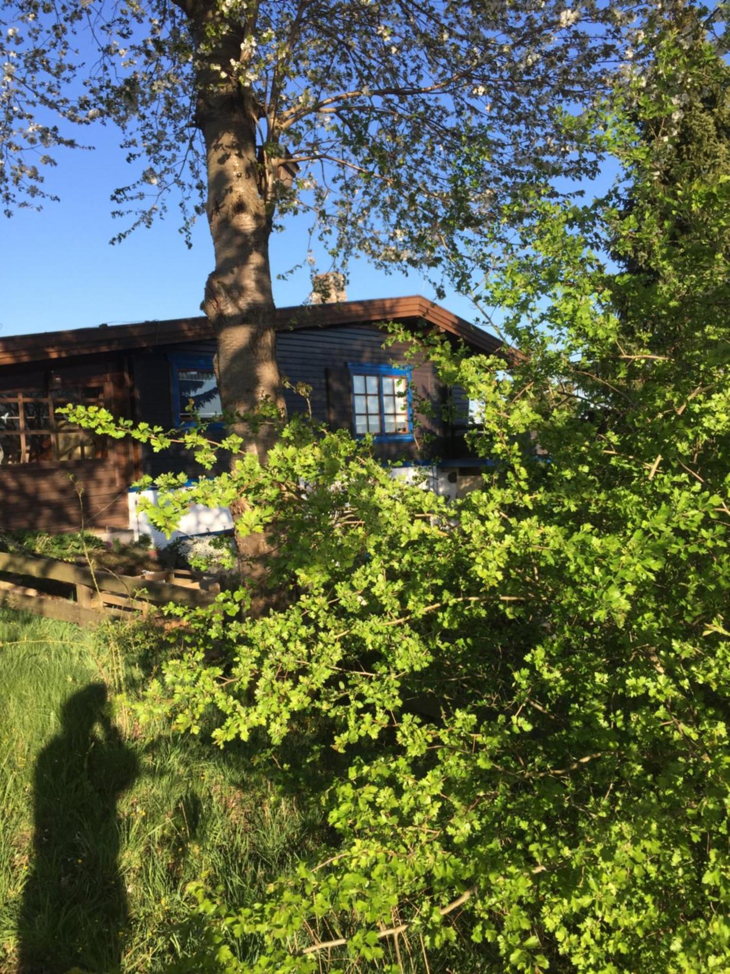 Natur Pur Mit Fernblick Fuer Wanderfreunde Bad Sachsa Eksteriør billede